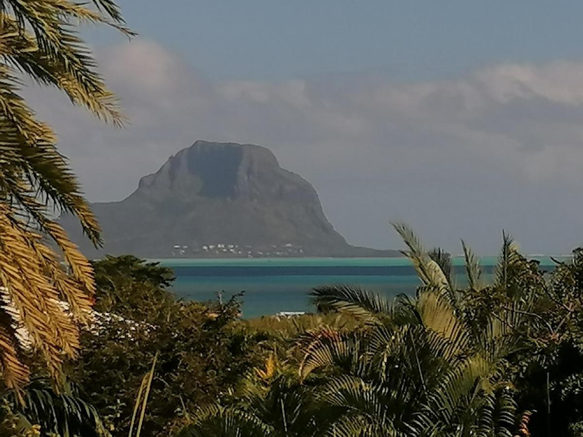 Terre Et Mer - Studios - Ile Maurice Rivière Noire Εξωτερικό φωτογραφία